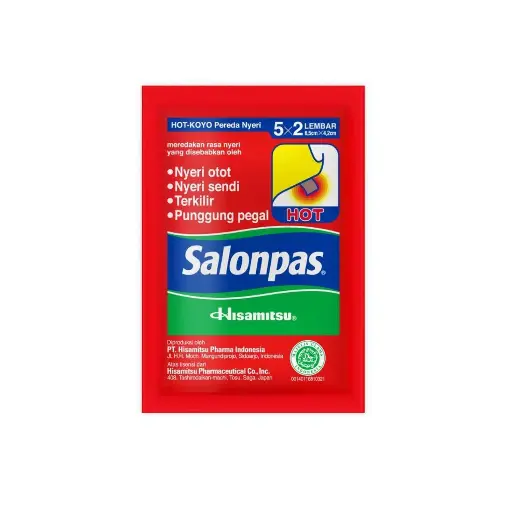 Salonpas Hot Pain Relief Patch - 10 Sheets